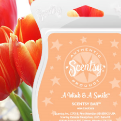 A Wink and A Smile Scentsy Bar - Scentsy® Online Store