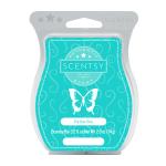 By the Sea Scentsy Bar