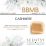 Cashmere Scentsy Bar