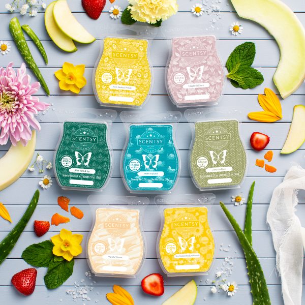 SCENTSY Wax Melts Variety Of Flavors 6 Packs