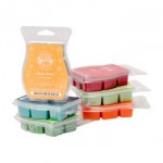 Scentsy-Bar-6-Pack