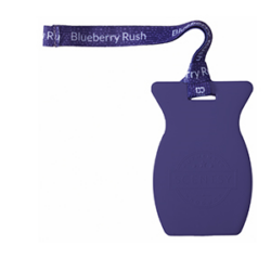 Scentsy Blueberry Rush Car Bar