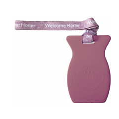 Welcome Home Scentsy Car Bar