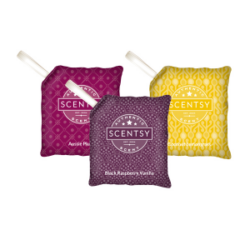 Scentsy Scent Pak 3 Pack