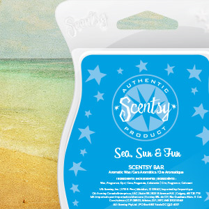 Sea Sun & Fun Scentsy Bar