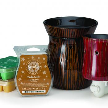 Scent & Warmer Of The Month Special