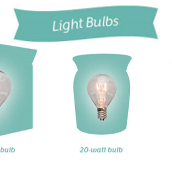 20-Watt Bulb - Green  Scentsy Online Store
