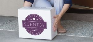 Scentsy VIP Starter Kit