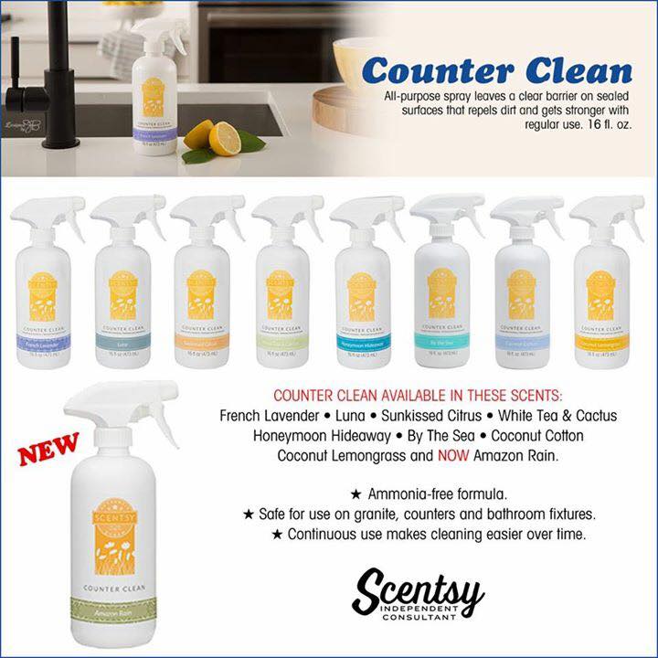 Scentsy Counter Cleaner