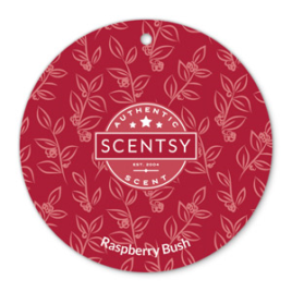 Scentsy Raspberry Bush Fragrance Scent Circle