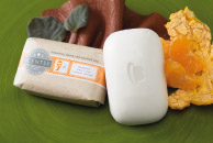 Skin Protection For Men with Scentsy Products
