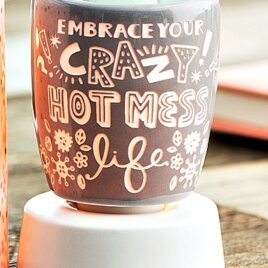 Crazy Hot Mess Scentsy Warmer