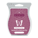 Midnight In Curacao Scentsy