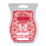 JOHNNY APPLESEED SCENTSY BAR