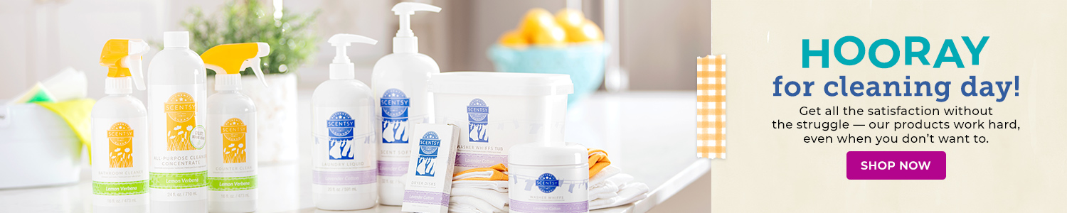 Scentsy Cleaning Products
