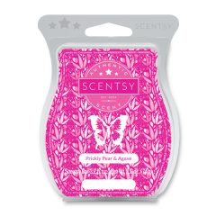 Prickly Pear & Agave Scentsy Bar