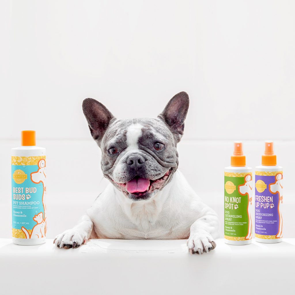 Scentsy Pets