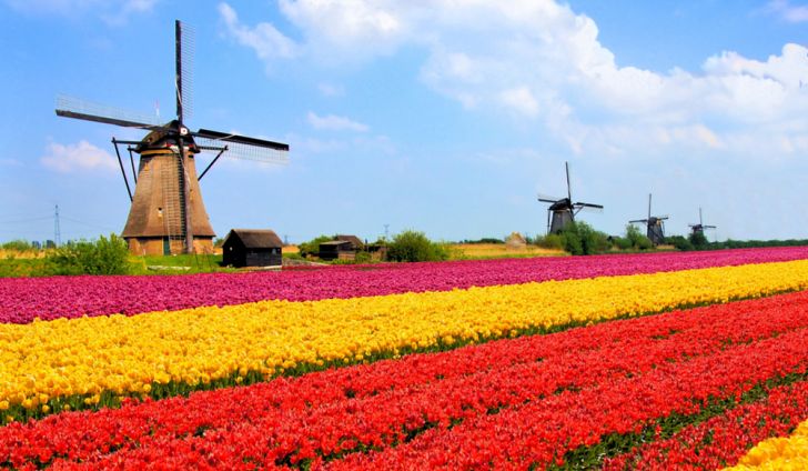 Scentsy Netherlands