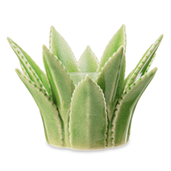 Aloe Scentsy