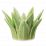 Aloe Scentsy
