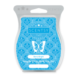 Berry Bright Scentsy Bar