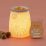 Starry Frontier Scentsy Warmer