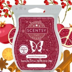 Scentsy Scent Products