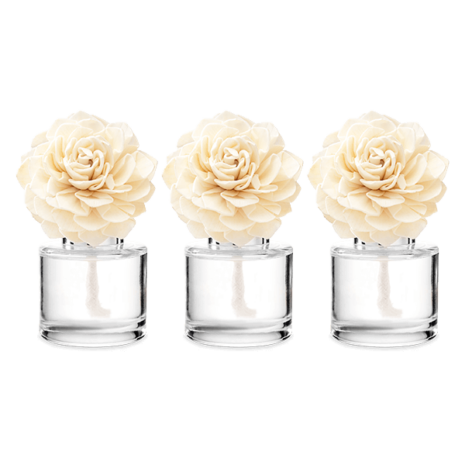 Scentsy Fragrance Flowers