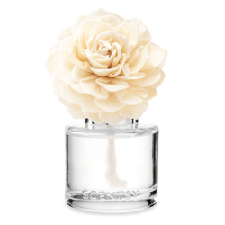 Cozy Cardigan Scentsy Fragrance Flower