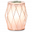Wire you blushing Scentsy Warmer