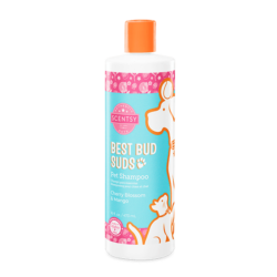 Cherry Blossom & Mango Scentsy Best Bud Suds Pet Shampoo
