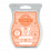 Clementine Cupcake Scentsy Bar