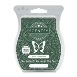 Black Forest Pine Scentsy Bar