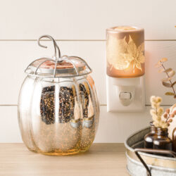 Scentsy Warmers & Diffusers
