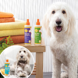 Scentsy Pets