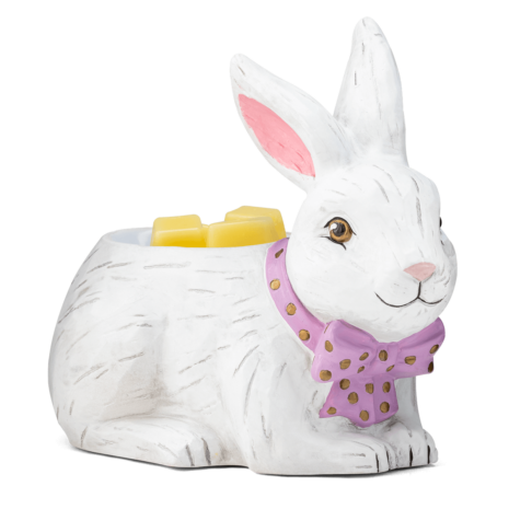 Hoppy Easter Bunny Warmer