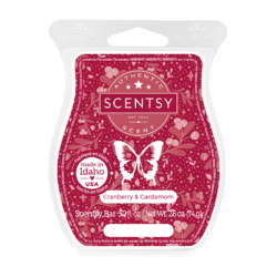 Cranberry & Cardamom Scentsy Bar