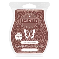 Cashmere Leaves Scentsy Bar