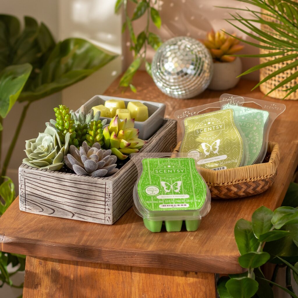 Get a popular warmer and three free Scentsy Bars, available for only 24 hours