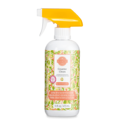 Key Lime & Grapefruit Scentsy Counter Clean