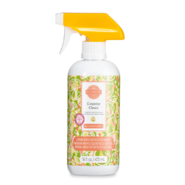 Key Lime & Grapefruit Scentsy Counter Clean